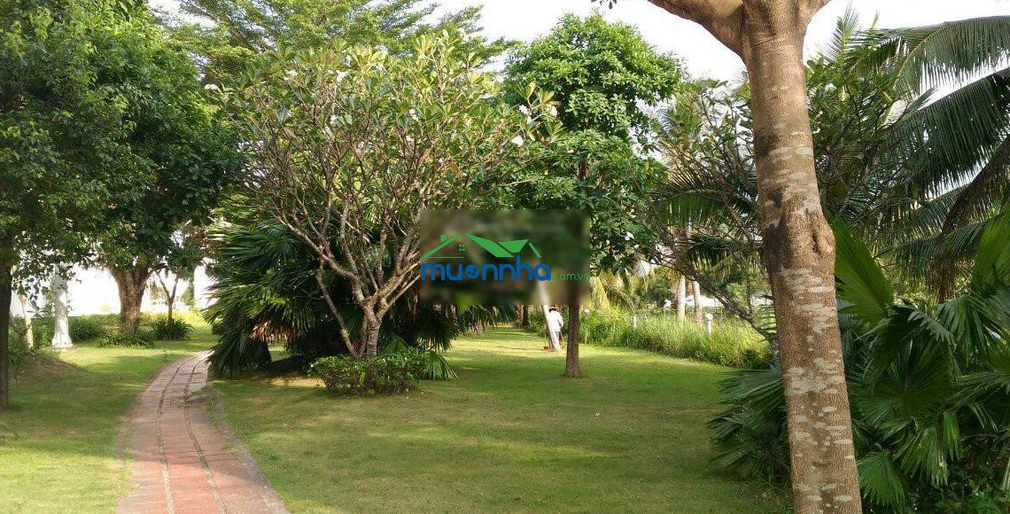 Cập nhật đơn lập sang nhượng villa park 2026 thông tin chính chủ, hồ sơ thủ tục nhanh chóng