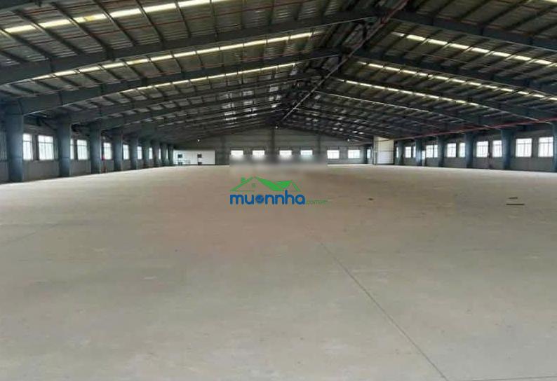 Chính chủ cần cho thuê kho xưởng mới xây tại kcn sóng thần 3, bình dương. lh 0348 222 *** - 2