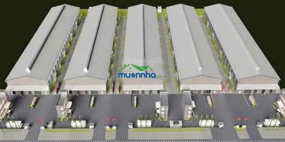 Chính chủ cần cho thuê kho xưởng mới xây tại kcn sóng thần 3, bình dương. lh 0348 222 *** - 3