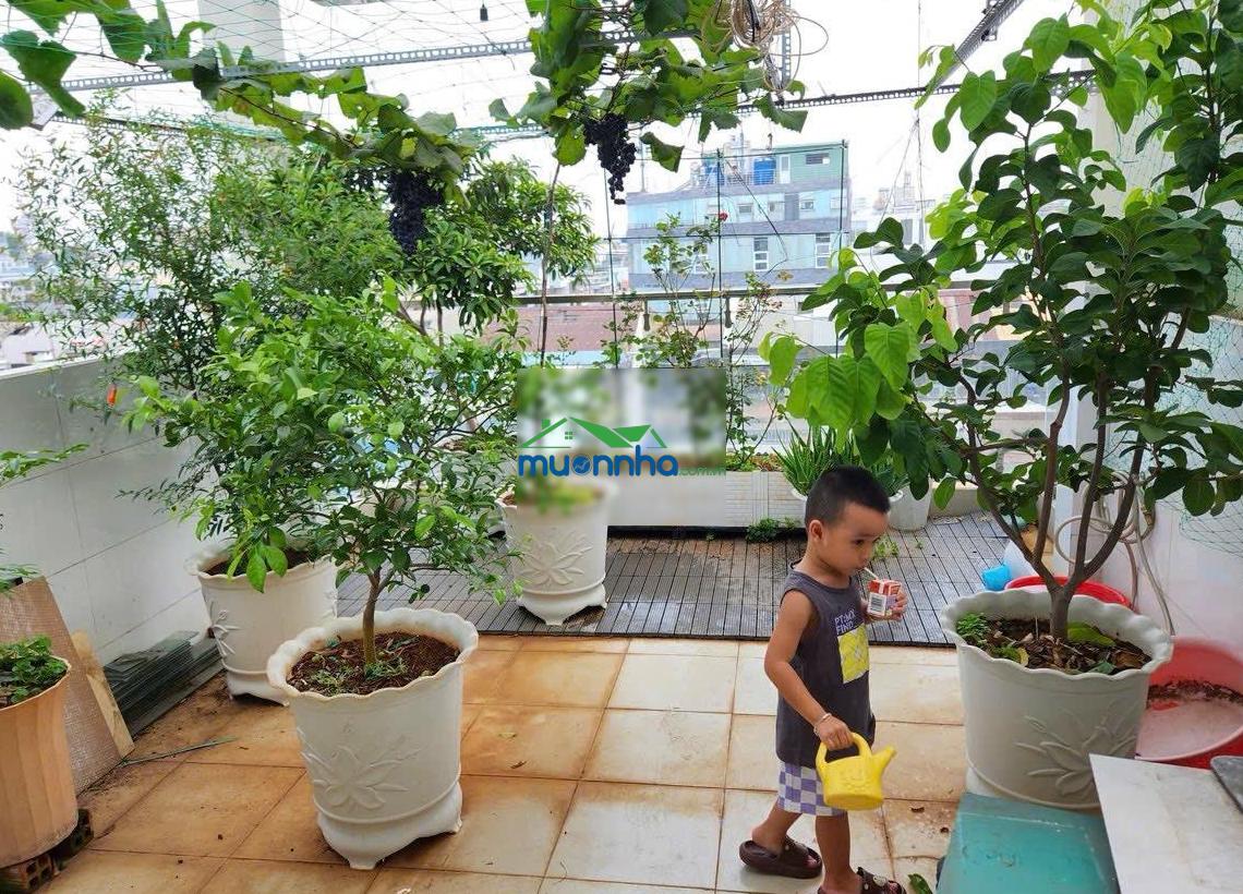 Hạ giá bán rẻ nhất khu vực không có căn thứ 2, nhà hẻm 254, thái phiên, p8, q11, tp. hồ chí minh - 3