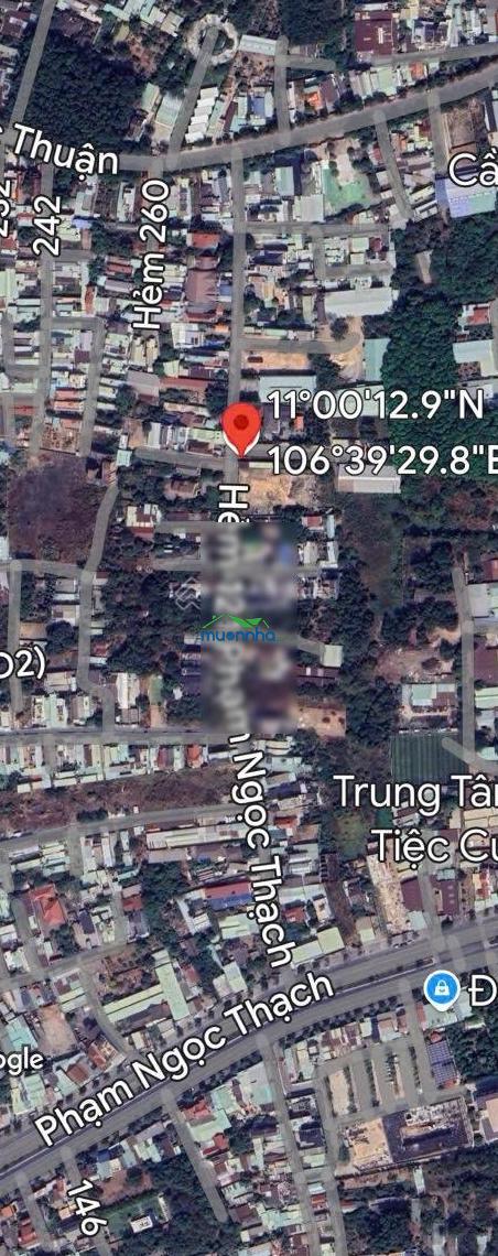 Cần bán lô đất hẻm 121 phạm ngọc thạch (hẻm heo mọi) - 4