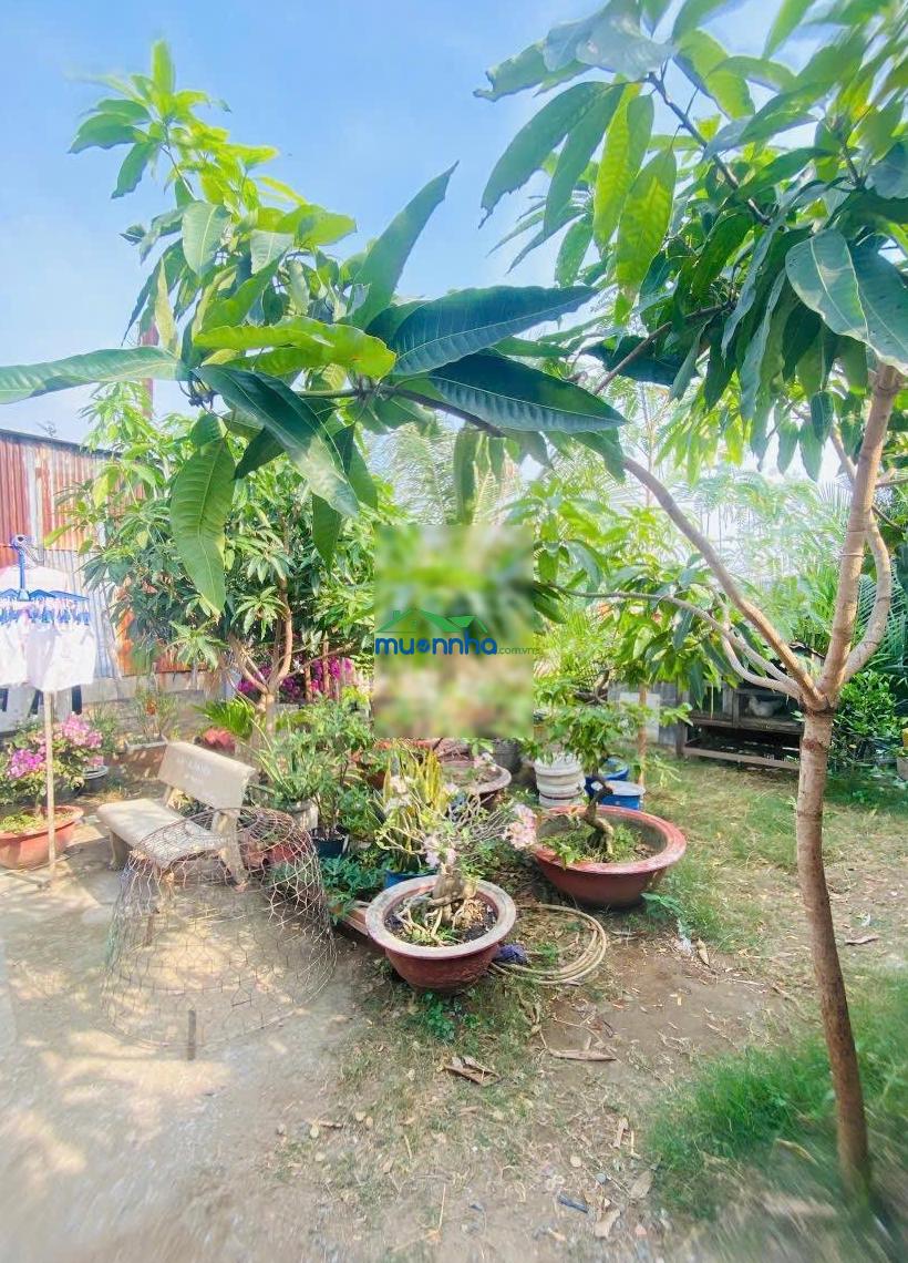 Bán biệt thự giáp sông lớn 11x22m, 214.4m2 full thổ cư giá 32tr/m2 hạ giá 26tr/m2 - 3