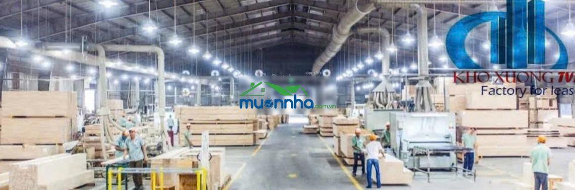 Cho thuê 3000m2 xưởng tân uyên, pccc tự động, đường cont, giấy tờ đầy đủ