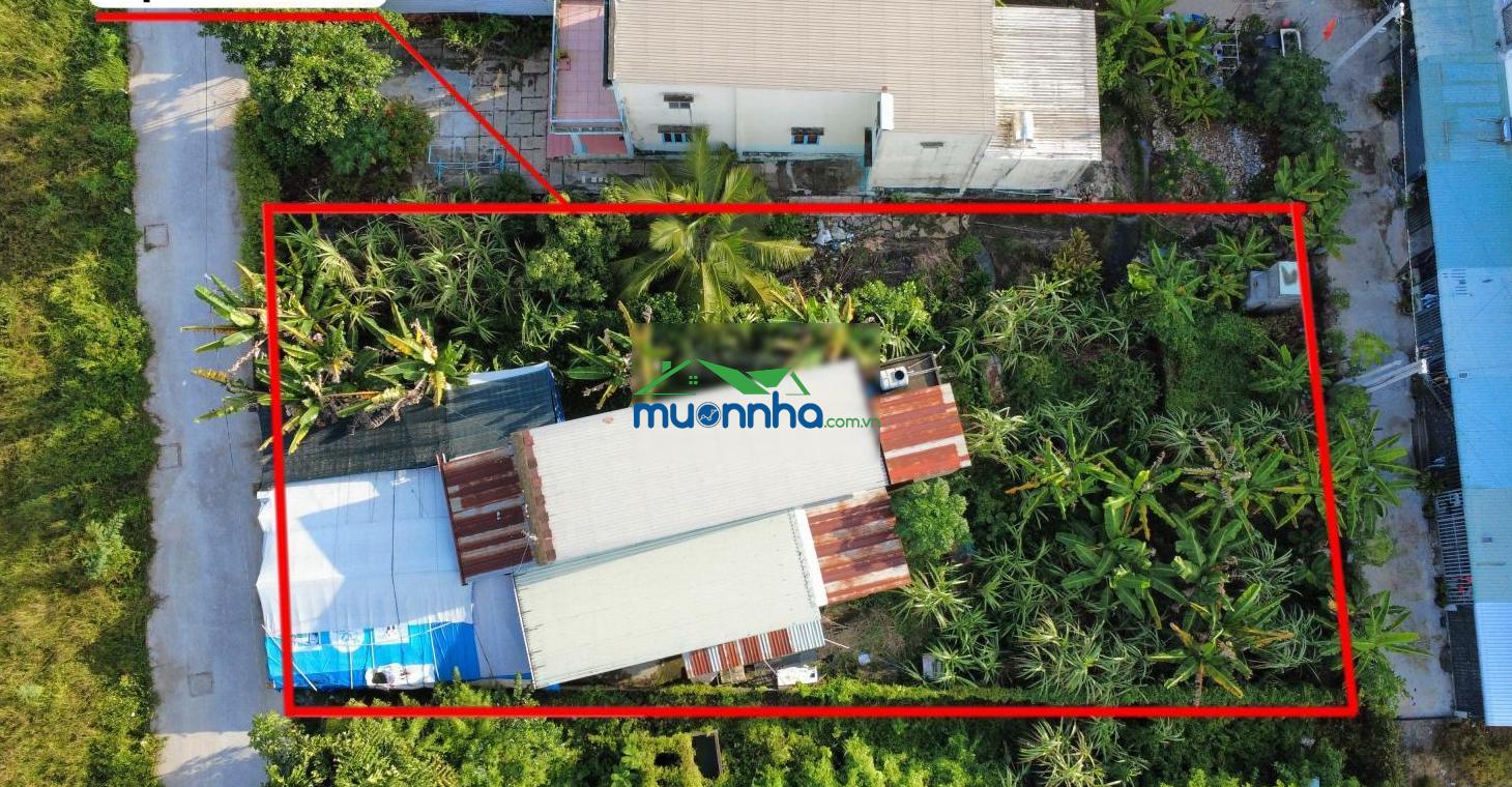 Bán đất tặng nhà cấp 4, diện tích 14x37m thổ cư 280m2, 2 mặt tiền trước sau