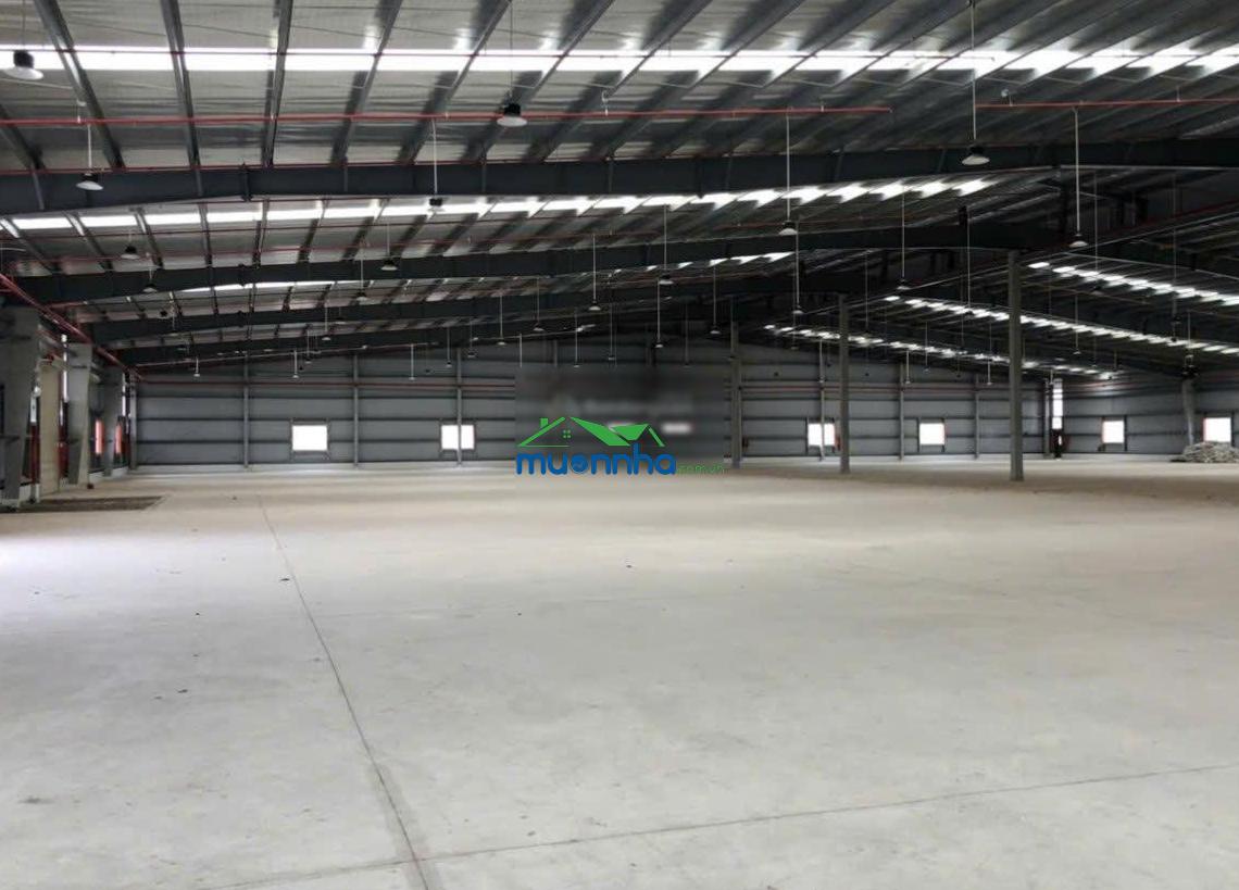 Cho thuê kho xưởng sát kcn sóng thần 1, 2, kcn vsip 1 cắt lẻ 2500m2, 3100m2, 3900m2, 4600m2, 5000m2 - 2