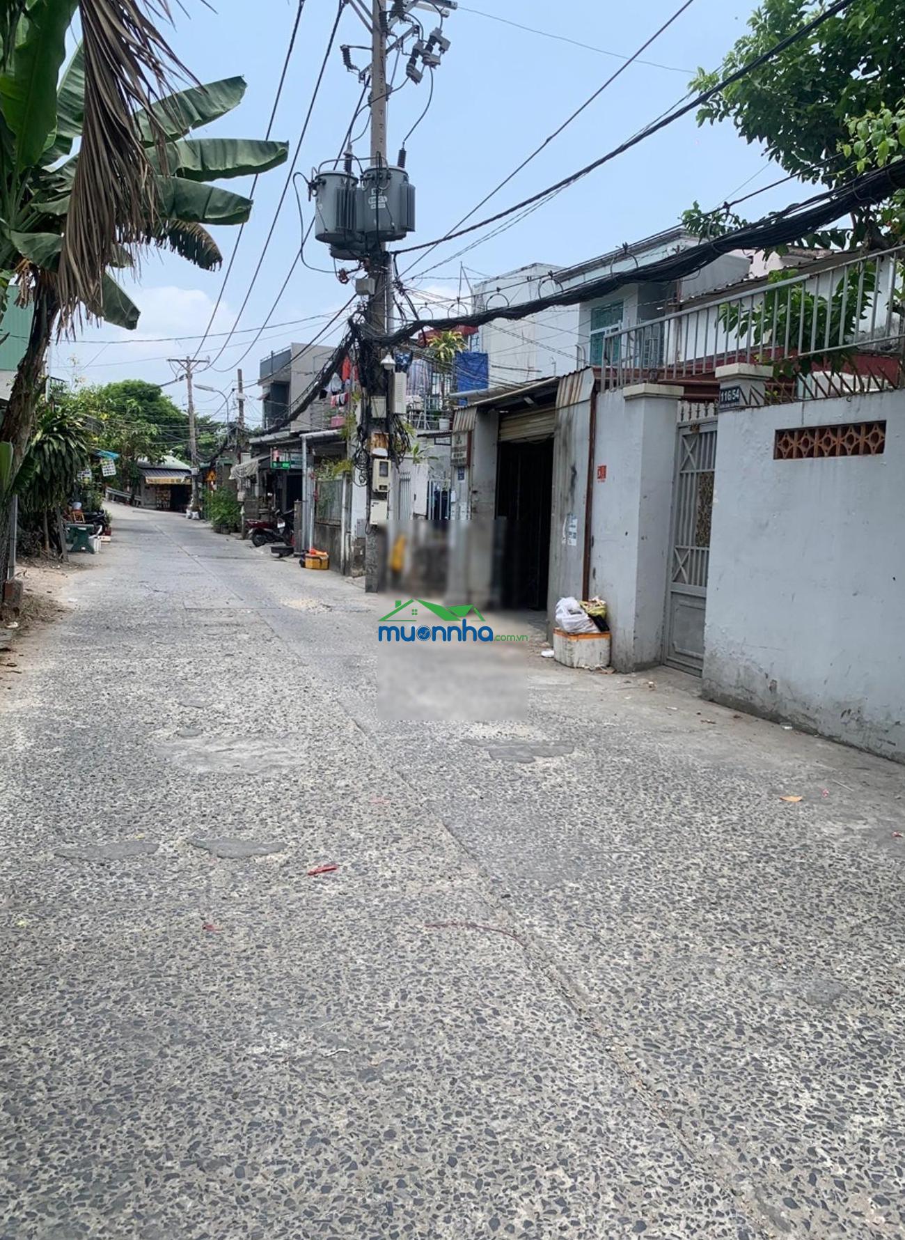 Hxh thông dương quảng hàm ngang 7m hiếm - 3