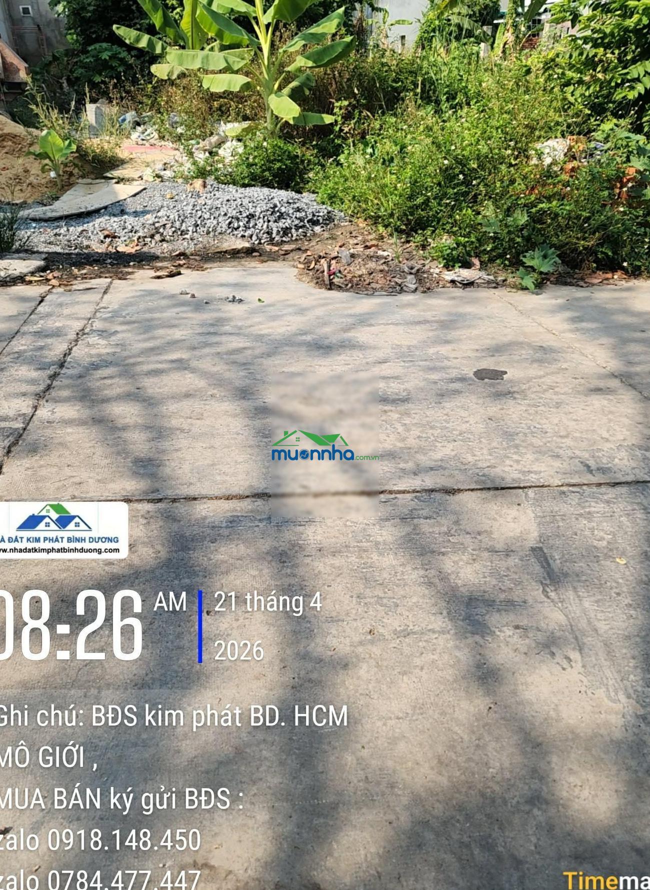 Bđs đẹp hiệp thành 10x31m thổ cư 100m2 đường 5m 2 ôtô qua lại đất cao ráo - 2