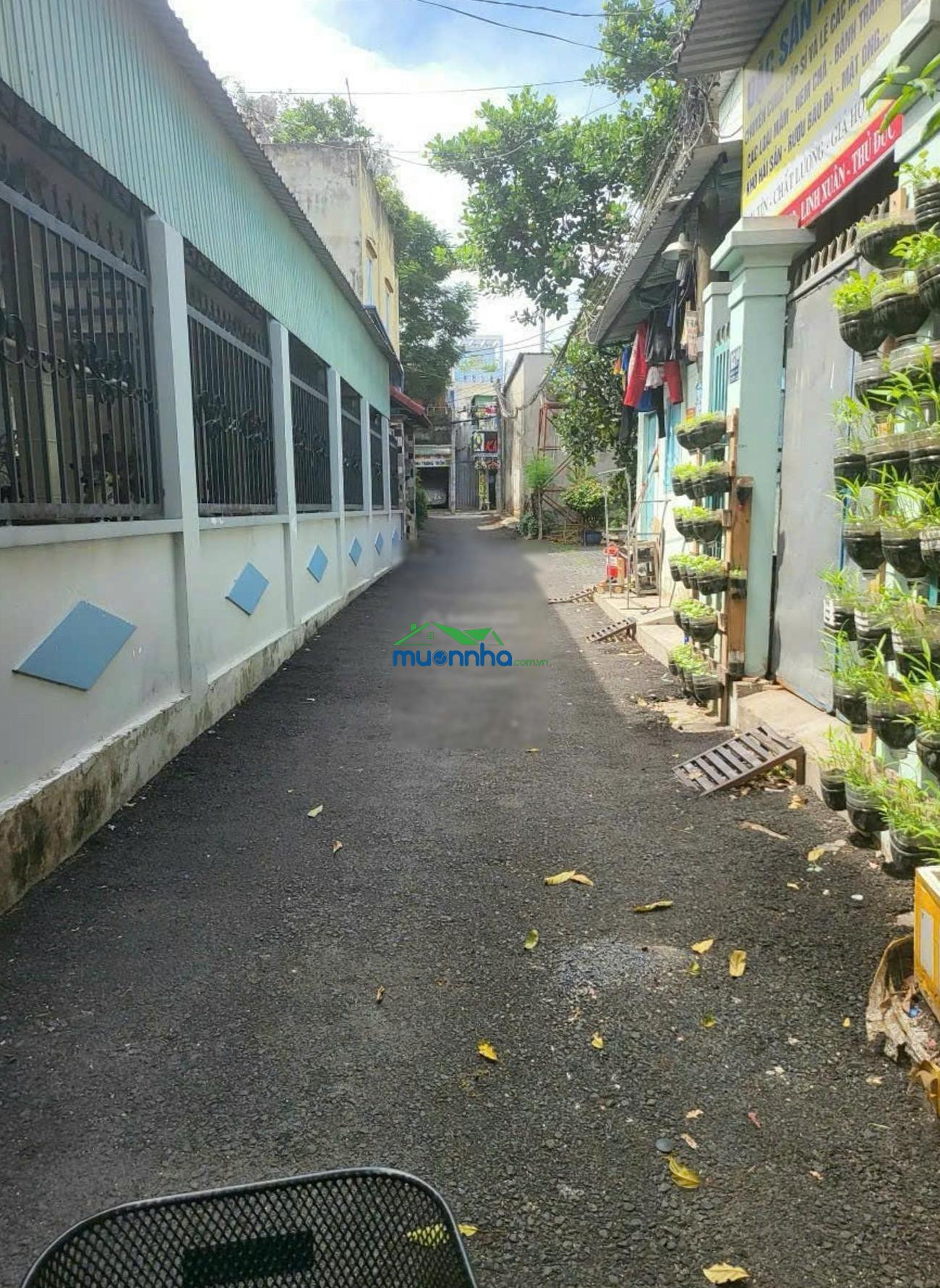 Bán nhà đường số 8 linh xuân - hxh - ngang 5m - hoàn công đủ - giá chỉ hơn 3 tỷ - Ảnh 3