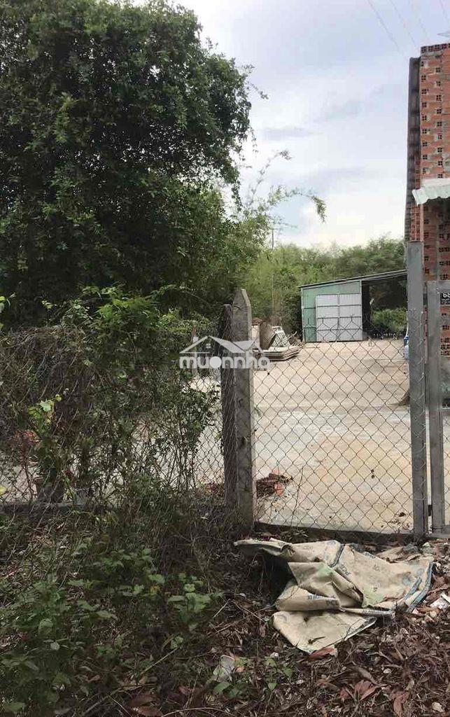 Nhà vườn gần 400m2 siêu rẻ, ngân hàng cho vay 50%