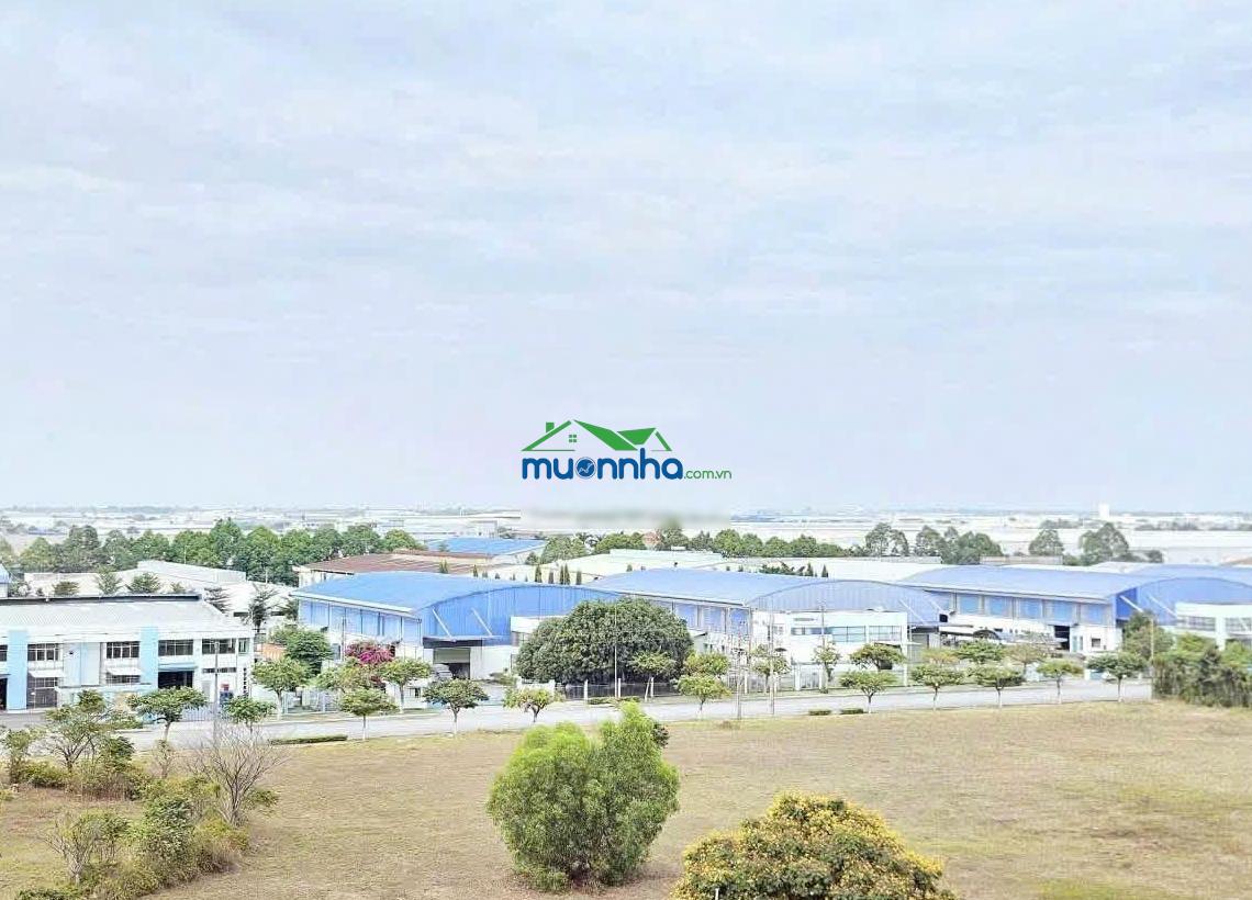 Cho thuê căn hộ the view (midori) tp mới bình dương visip2 - căn 2p