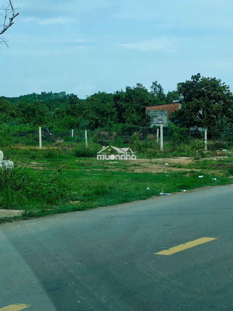 Cần bán đất mặt tiền dt761 kinh doanh giá tốt thông về bình dương - 2