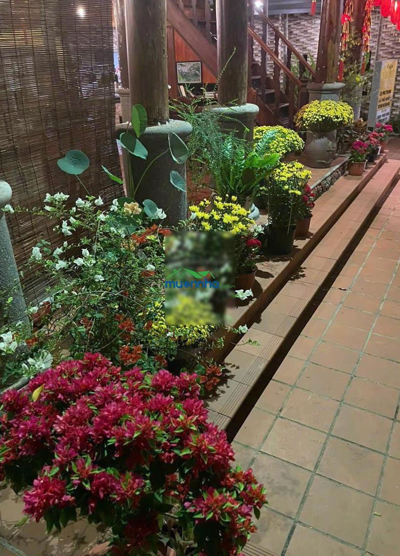 Bán biệt thự nhà vườn thiết kế đặc biệt làng đại học abc phước kiển 500m², 46 tỷ có tl