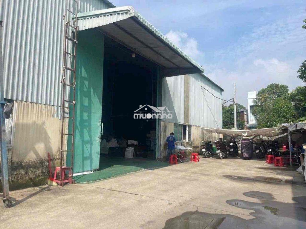 Xưởng thuận an 800m điện sản xuất - 2