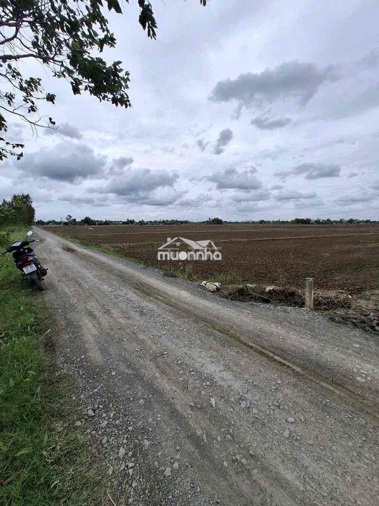 Gia đình hữu sự cần bán gấp hạ giá 200tr - 3
