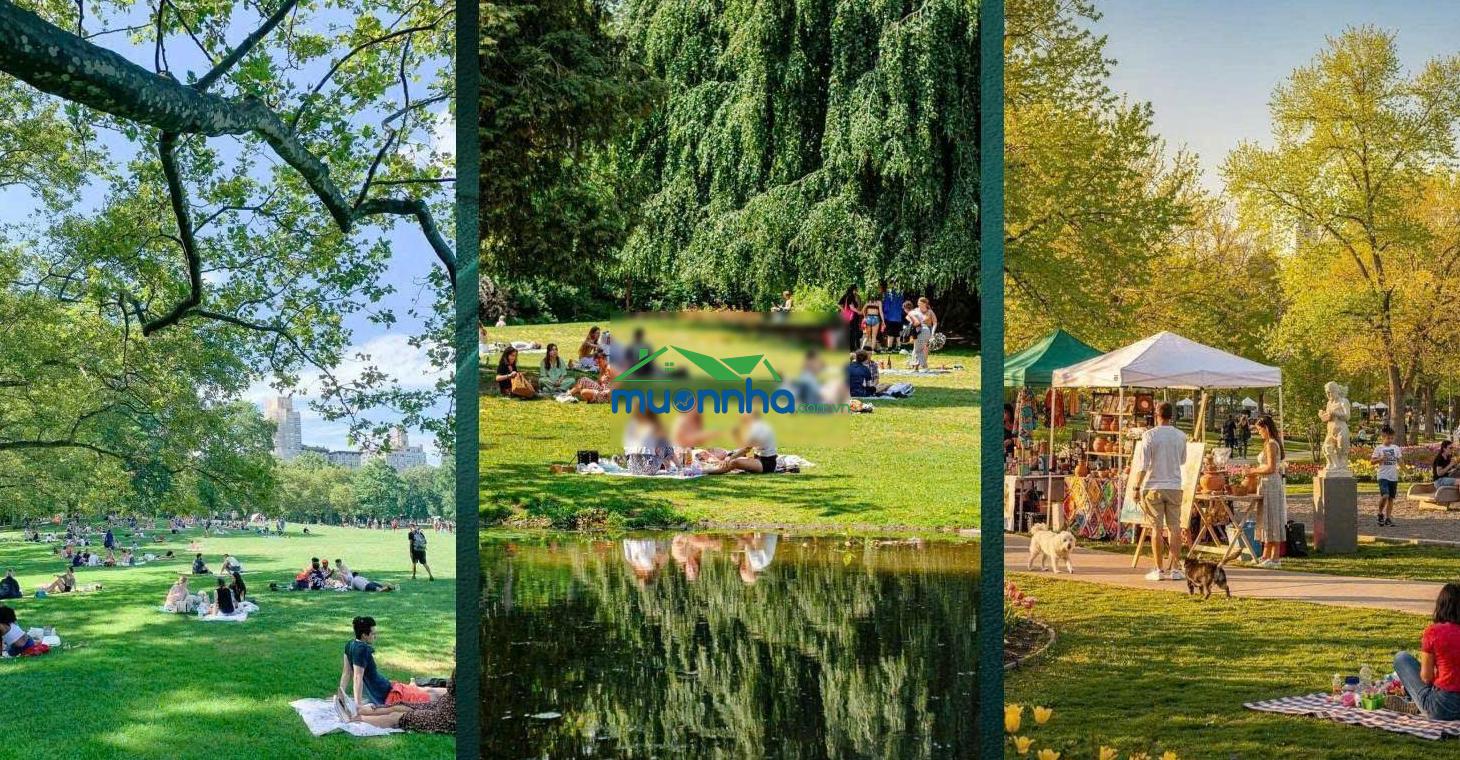 50m2 căn độc quyền nhà phố vinhomes saigon park giá tốt 4,6 tỷ - 2