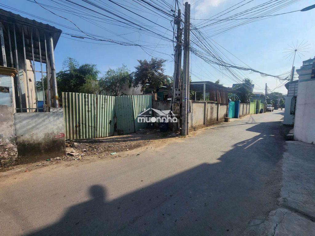 Bán đất bình chuẩn 67; tặng nhà cấp 4 100m2 - 2