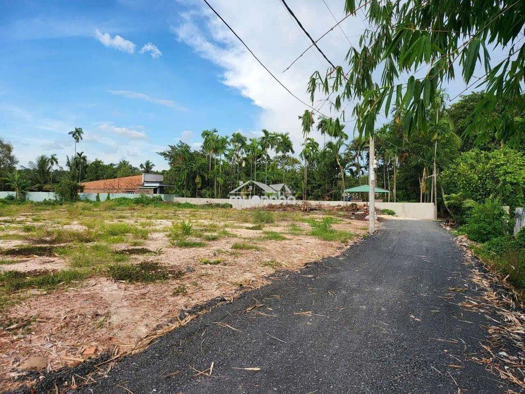 Đất ngay mặt tiền vào, đường xe contener, nhị bình 3, hóc môn - 3