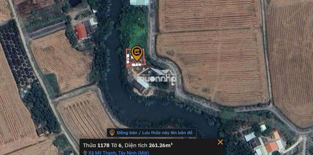 Bán đất thủ thừa chính chủ 244m2 giá 385tr - 2