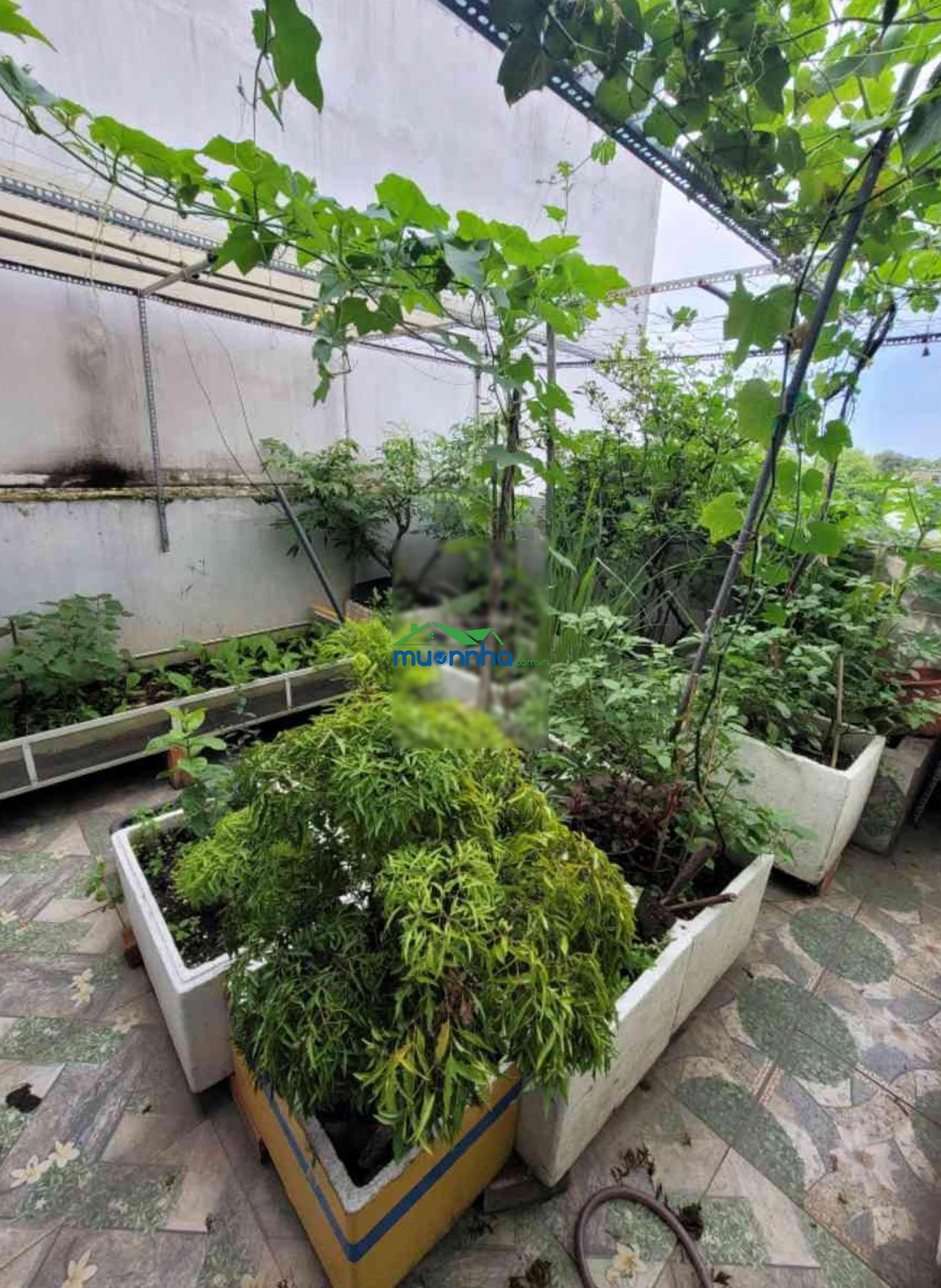 Bán nhà 3 tầng lê văn khương, quận 12, 6 tỷ 4. diện tích 4x21m. đường 8m thông. - 3