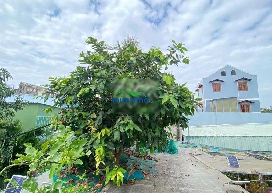 Đất vàng q7 - sát mặt tiền huỳnh tấn phát, ngang 13,5m dài 14m, xây chdv thì quá đỉnh - 4
