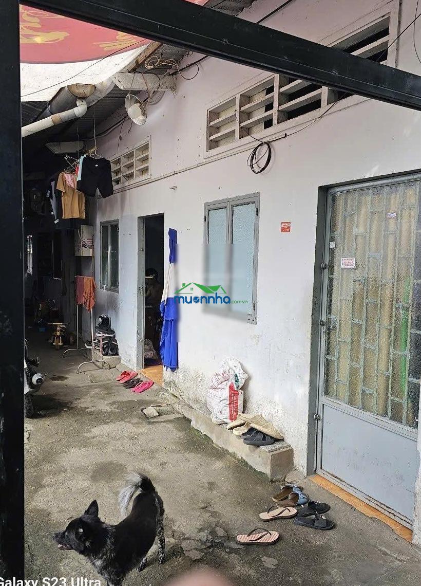 Bán dãy trọ 10 phòng phường trường thọ thủ đức 11 tỷ - 2