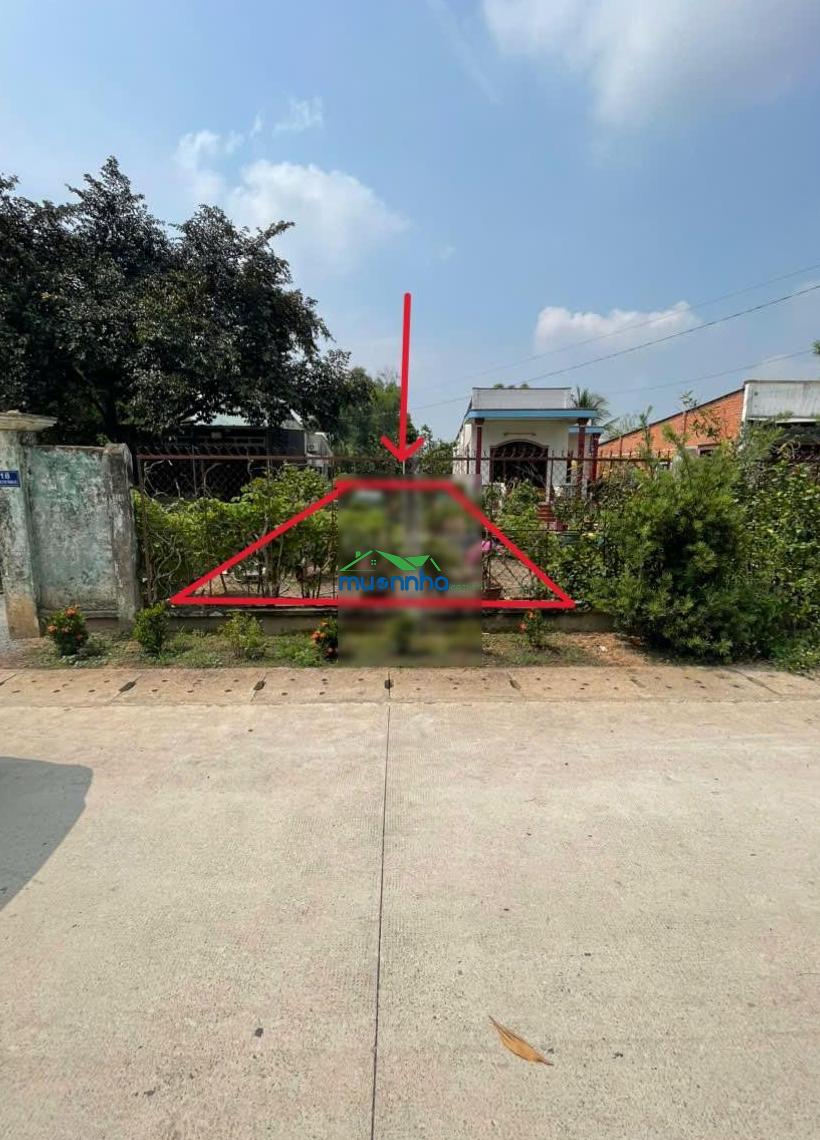 Chính chủ gửi bán đất đường tân thành 52 (288.6m² gần full thổ cư gần kcn, giá tốt) - 2