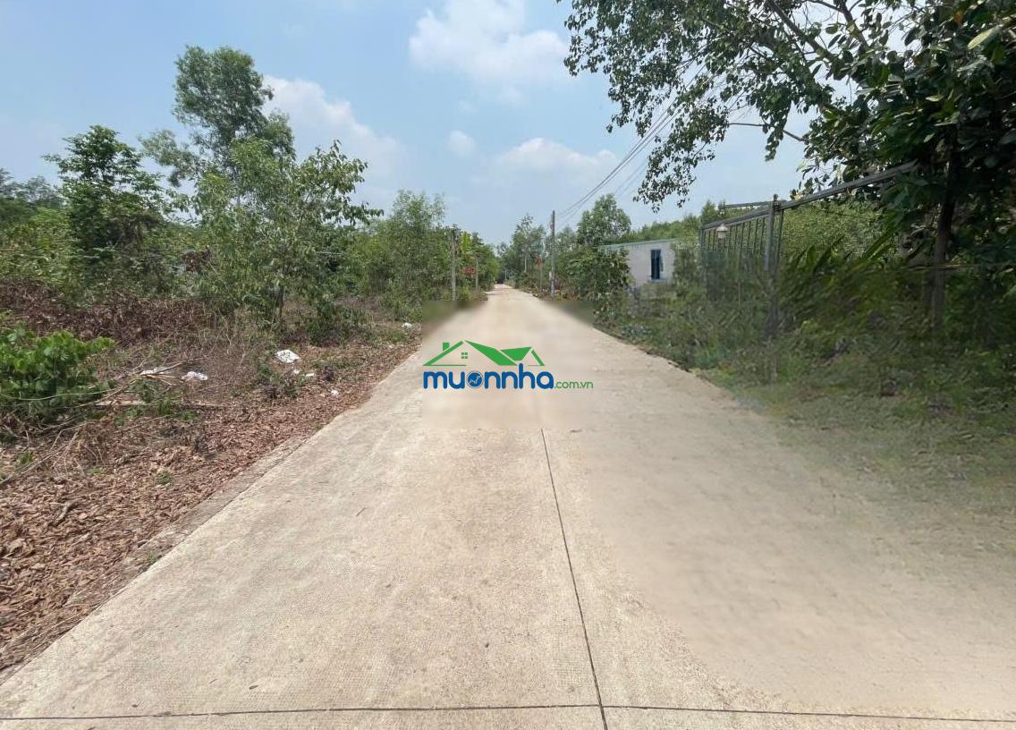 Chính chủ gửi bán đất tân thành 30 gần full thổ cư (359.9m² giá tốt gần kcn) - 2