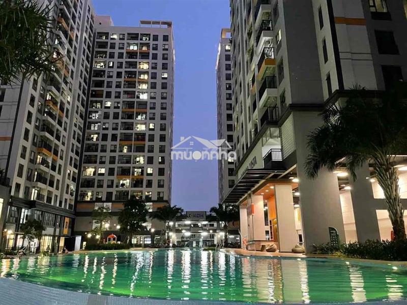 Rổ hàng chuyển nhượng căn hộ lovera vista 1-2-3pn