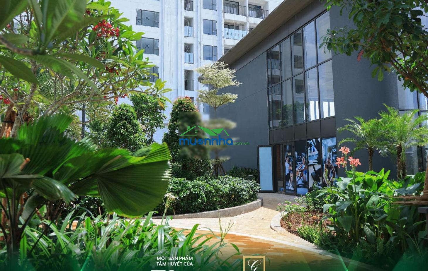 Căn hộ cao cấp green square cạnh go dĩ an, làng đhqg tphcm - 3