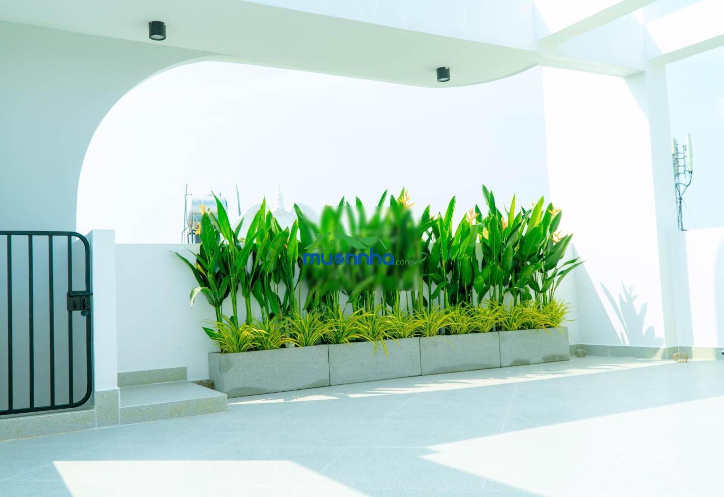Chdv cao cấp _ deal chốt nhanh tháng 6 - 4