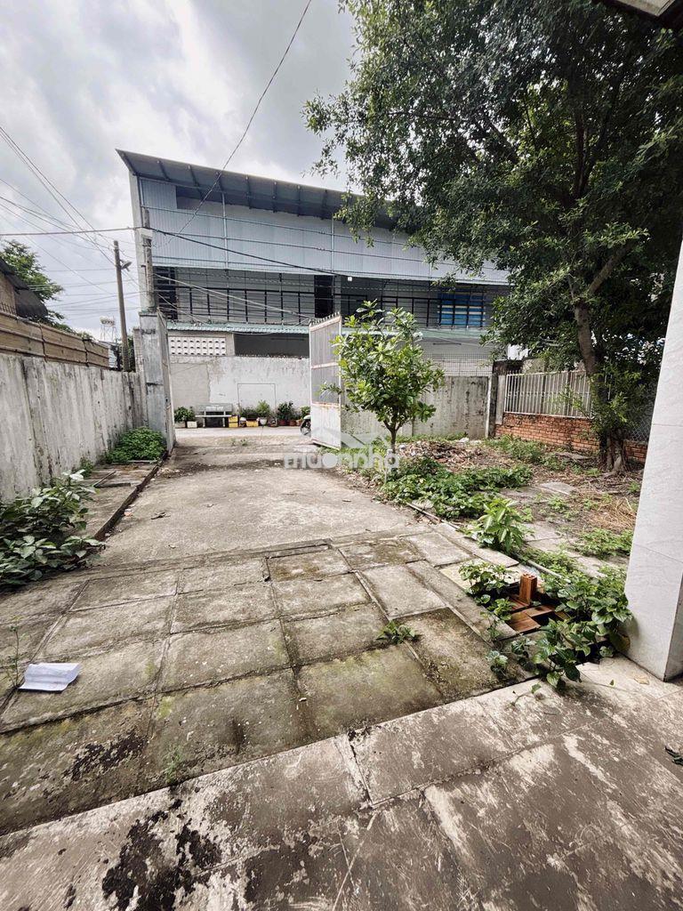 248m² full thổ cư ngang đỉnh 9,6m❌26m – tặng nhà cấp 4 – ngay dương cô - 3