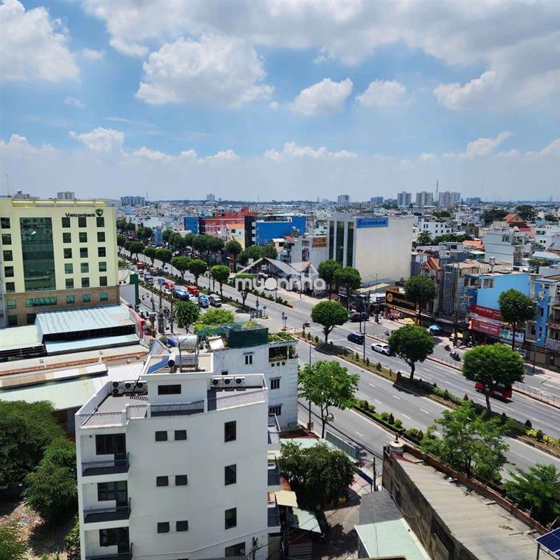 Cho thuê chung cư kim tâm hải