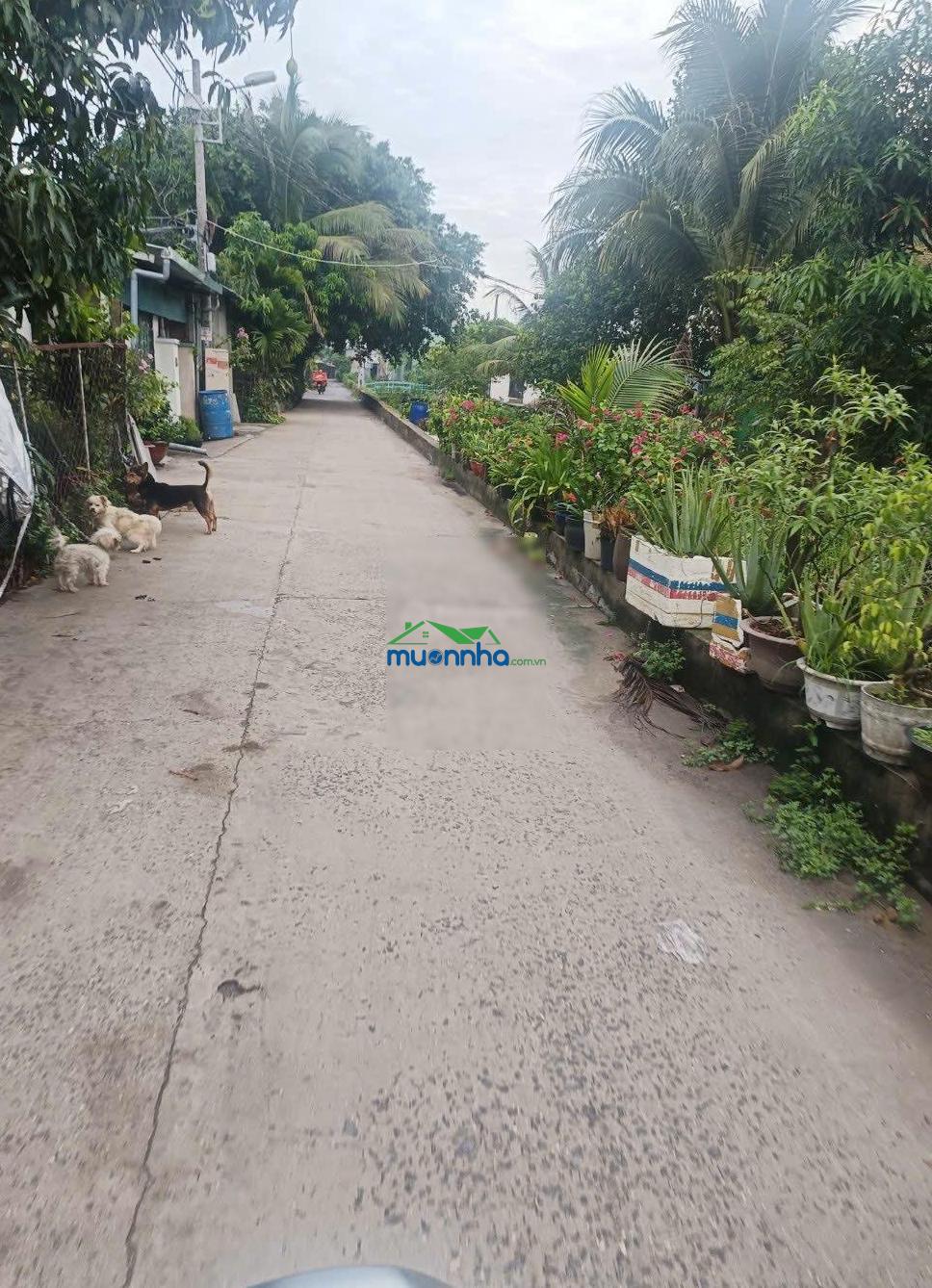 Nhà 3 tầng thạnh lộc, q.12 dt 47m (4m x 12m) giá chỉ 3,2 tỷ. nhà 3 tầng kiên cố gồm 3 ph - 2