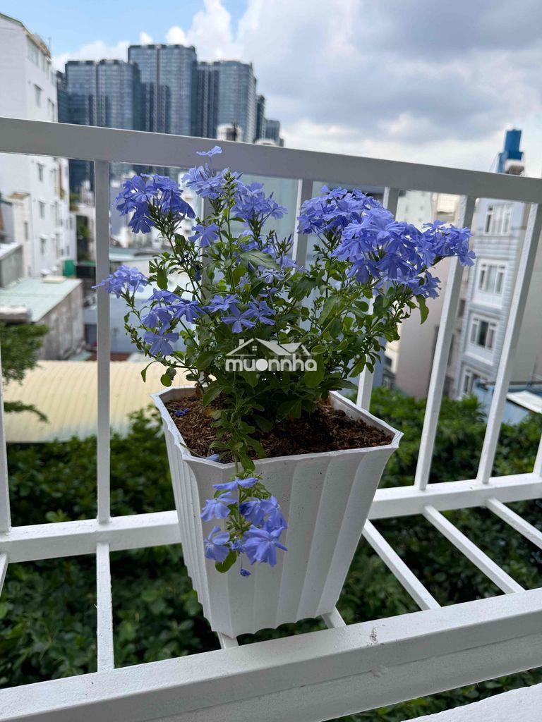 Cần bán căn hộ chung cư 76 ngô tất tố - 4