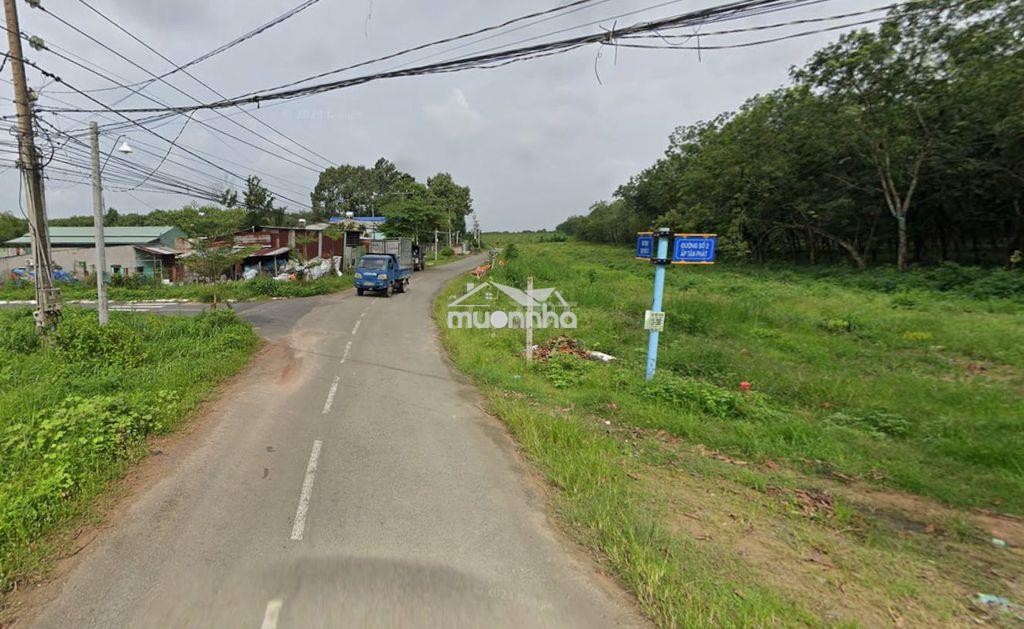 Bán đất chính chủ tại đồng nai - 3