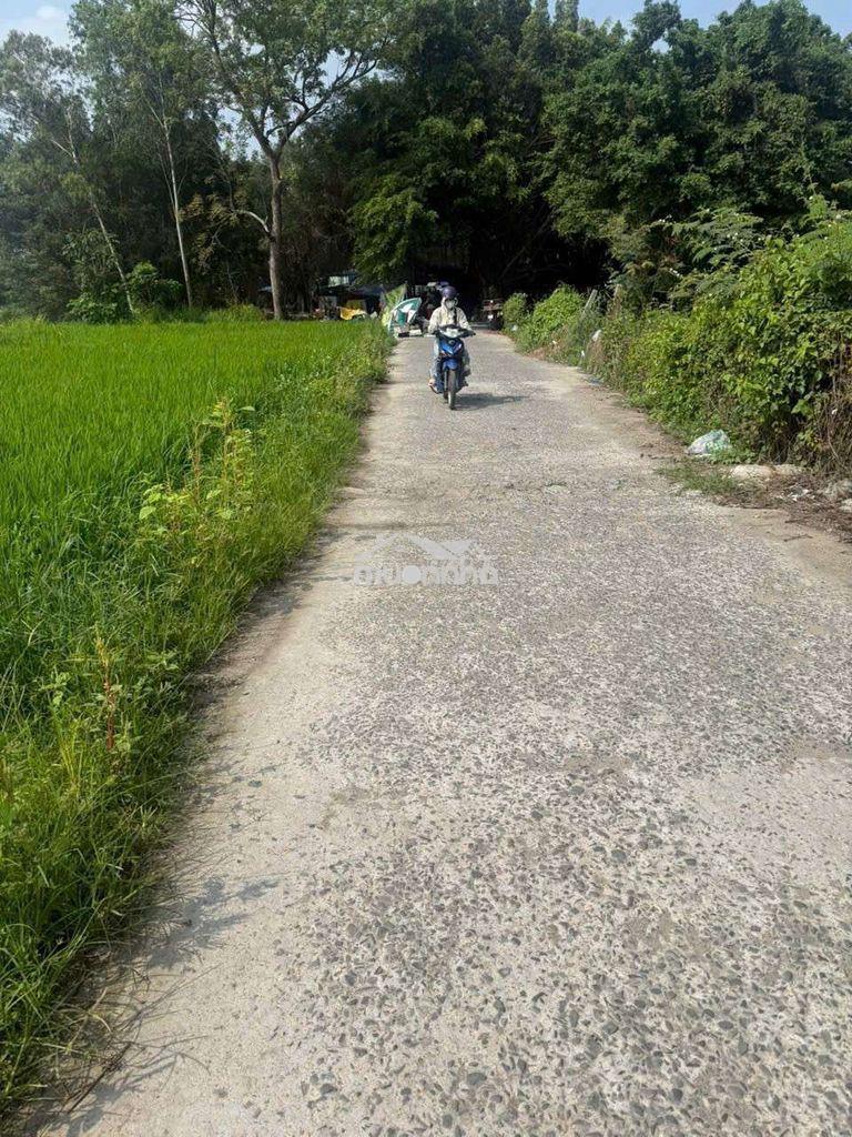 Đất đẹp hàng hiếm full thổ cư ngay trung tâm xã v.thanh sát chợ h.bình - 2