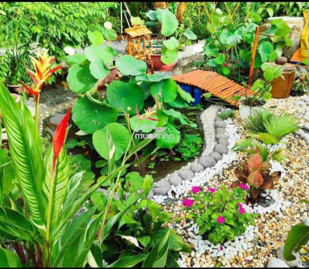 Chính chủ cần tiền muốn bán gấp lô đất giá rẻ - 4
