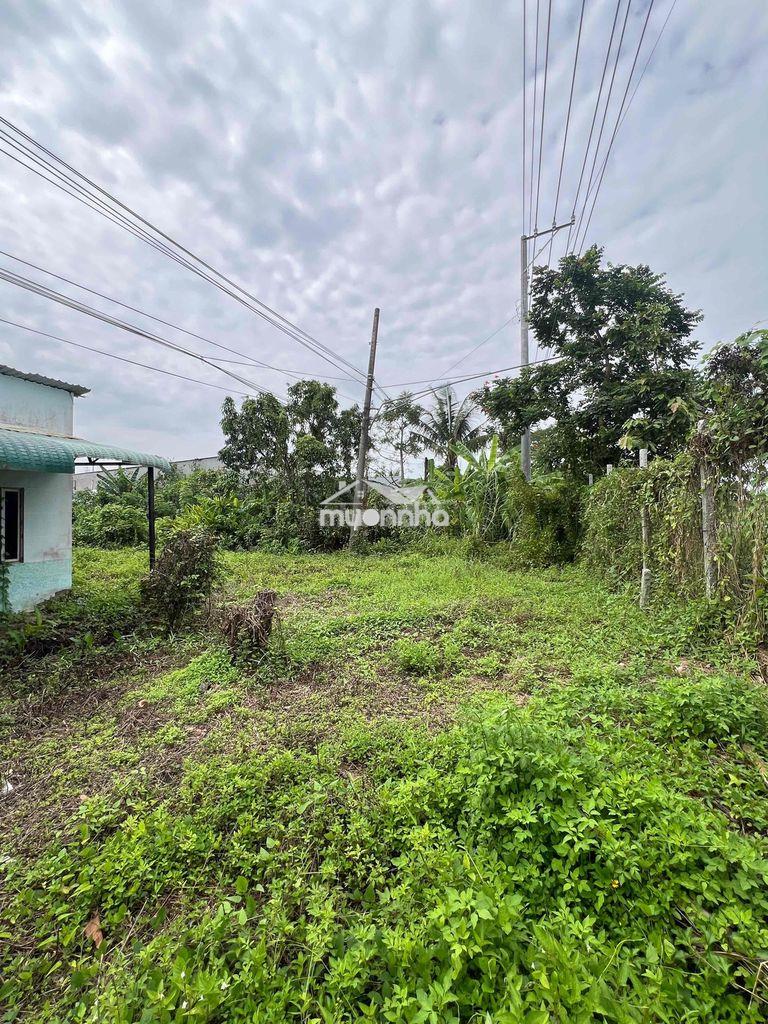 Cần bán 5000m2 đất cln có 200 thổ cư - 3