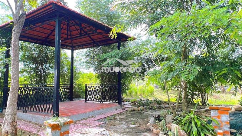 Bán nhà vườn siêu đẹp không gian thoáng mát có nhà chòi và ao hồ