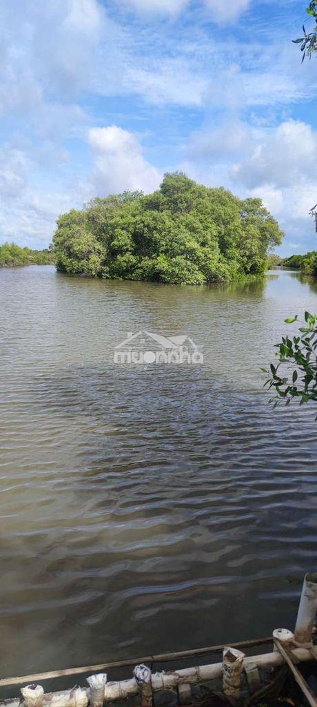 Cần bán đất nuôi thủy sản!