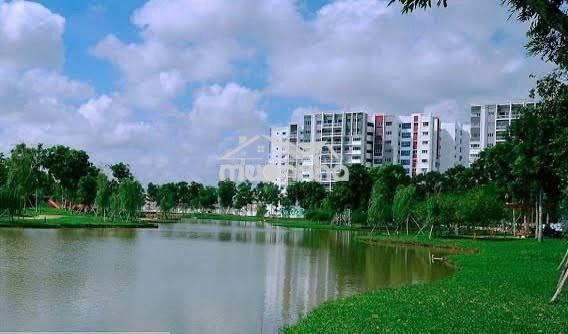 Bán căn hộ 2pn 1wc dt 73m2 khu topaz celadon city