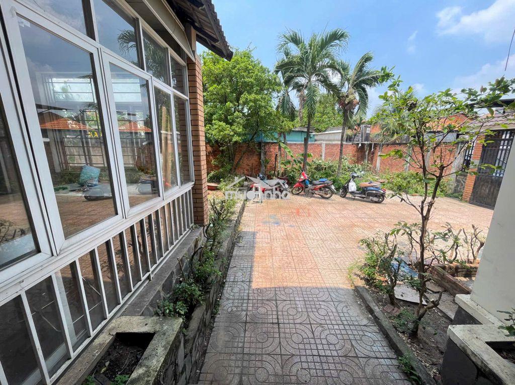 ✅✅Cho thuê nhà sân vườn 350m2 - 2