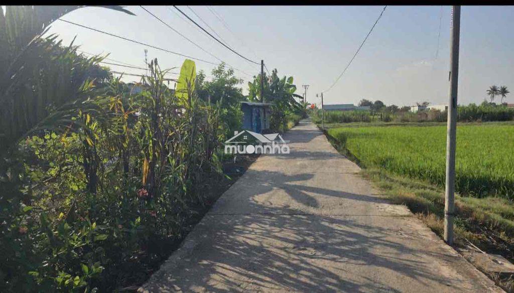 Đất nở hậu- gần đt 818 - 2