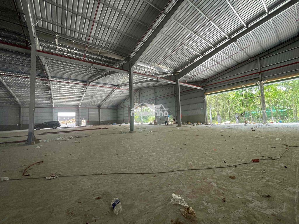 Cho thuê xưởng sản xuất tại phú giáo bình dương - 4