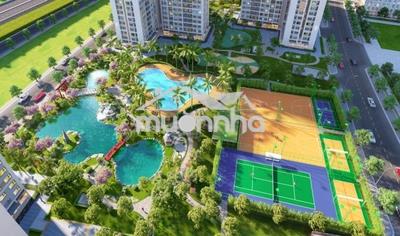Cắt lỗ mạnh căn 1pn+ rainbow – giá *** thị trường - 3
