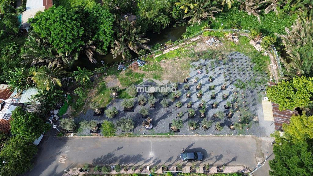 Đất ngay vành đai 2, liền kề đại lộ phạm văn đồng, tt thủ đức. - 4