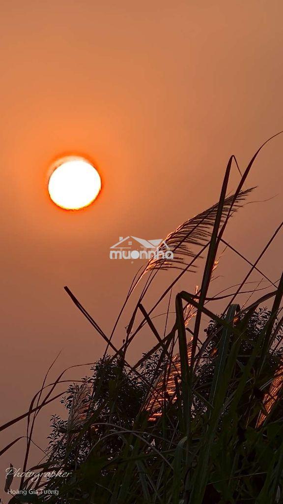 Phòng cho thuê ở tháng lâu dài - 3