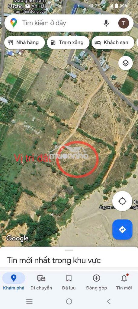 Bán đất tại kdl đồi cát nam cương, tp. phan rang, diện tích 2000 m2 - 3