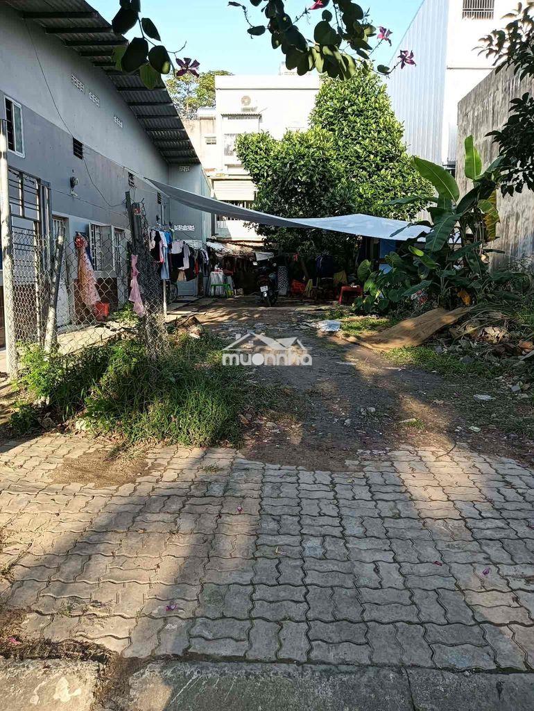 Chính chủ cần bán lô đất mặt tiền đường 5.5m trương văn lĩnh - 3