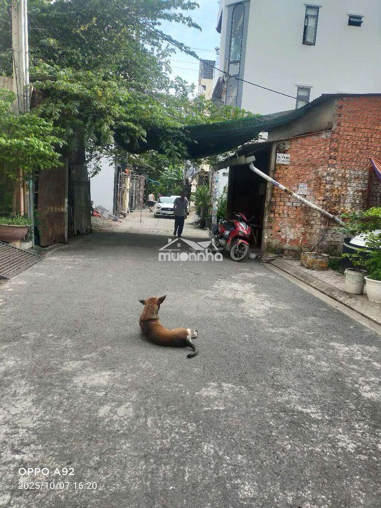 Ngay bình trị đông bình tân  dt 44m2 3tần 4pn  4wc - 4